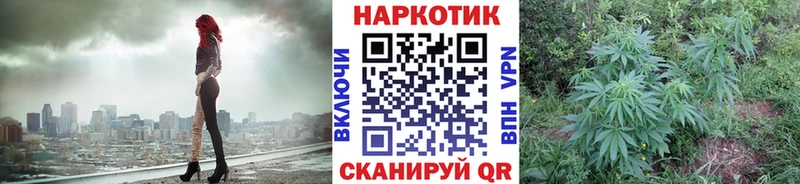 Как найти закладки Пестово Alpha PVP  Бошки Шишки 