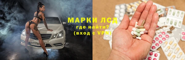 прущие грибы Верея