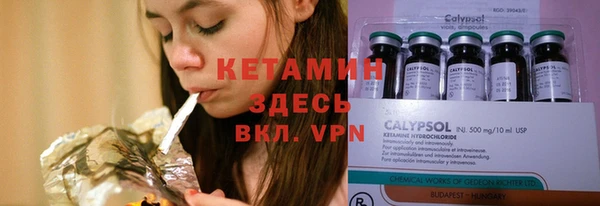 прущие грибы Верея