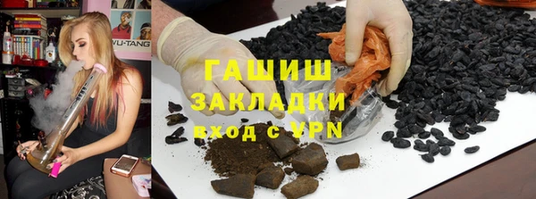 прущие грибы Верея
