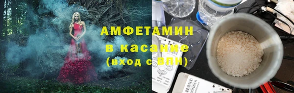 прущие грибы Верея