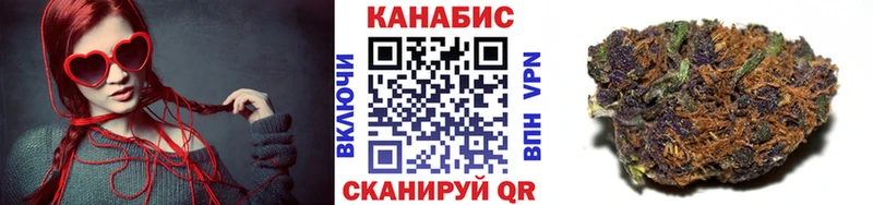Конопля ГИДРОПОН  купить наркоту  Пестово 